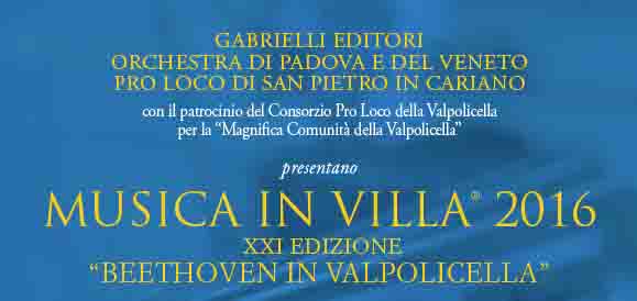 musica in villa banner