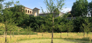 Villa dei Vescovi parco